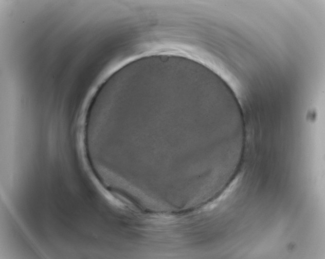 X0000103321525200809192128