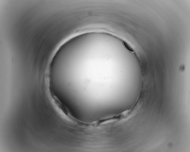 X0000103321526200809192128