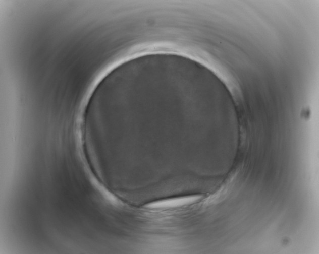 X0000103321527200809192128