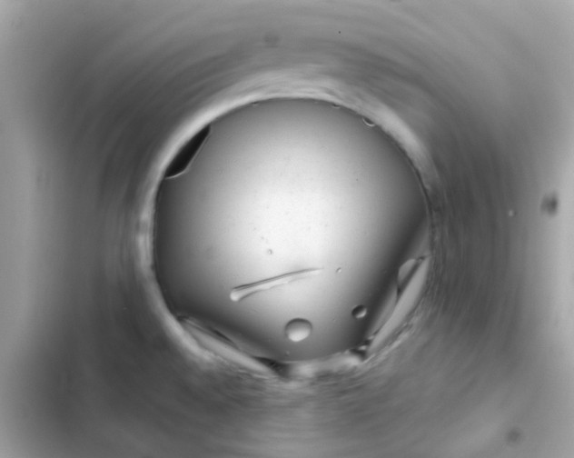 X0000103321528200809192128