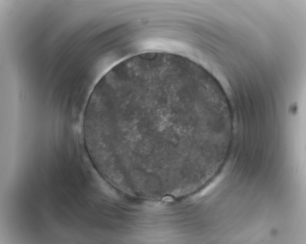 X0000103321529200809192128