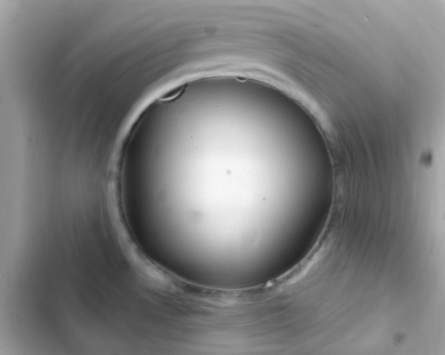 X0000103321530200809192128