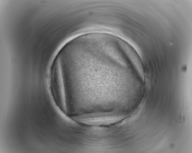 X0000103321531200809192128