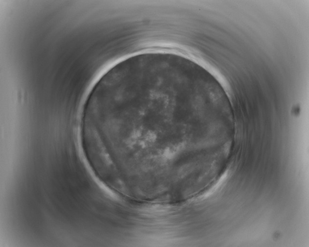 X0000103321533200809192128