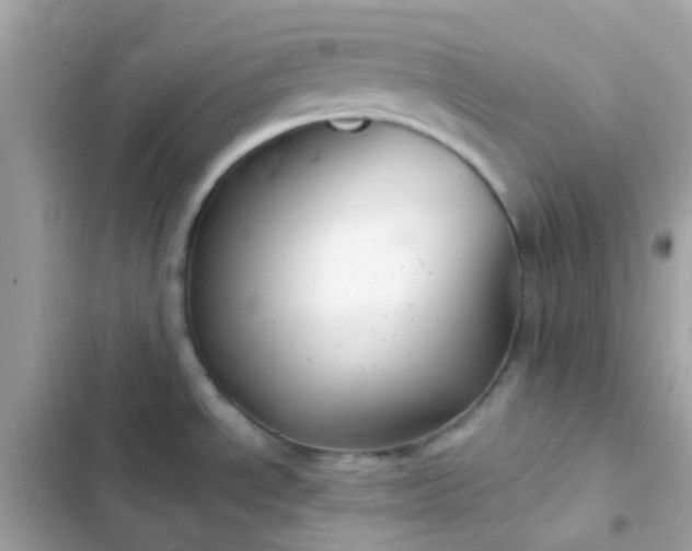 X0000103321534200809192128