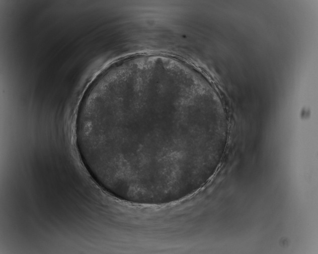 X0000103320002200809261148