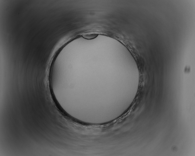 X0000103320004200809261148