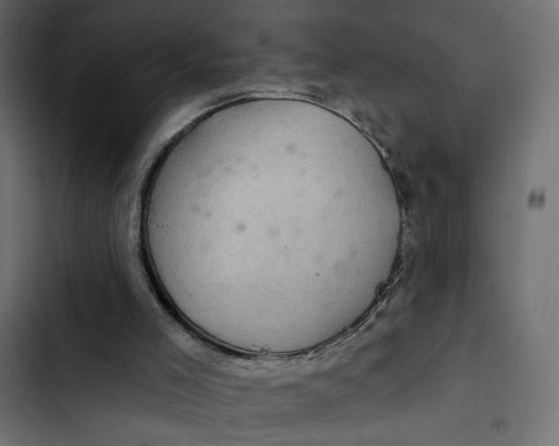 X0000103320005200809261148