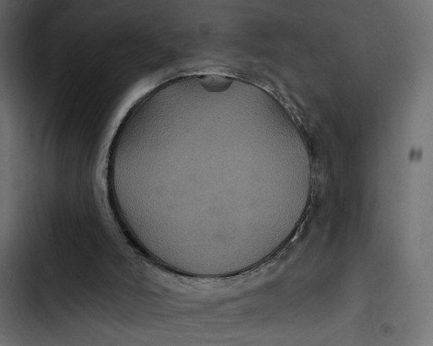 X0000103320006200809261148