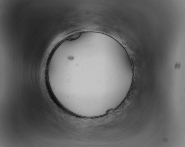 X0000103320007200809261148