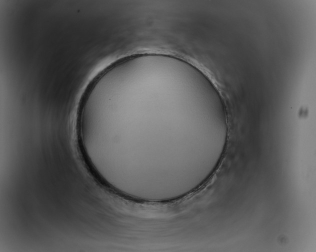 X0000103320008200809261148