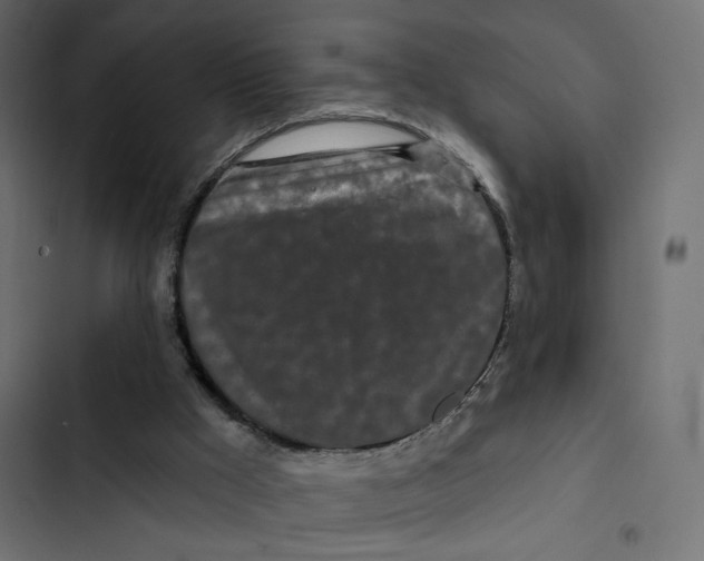 X0000103320009200809261148