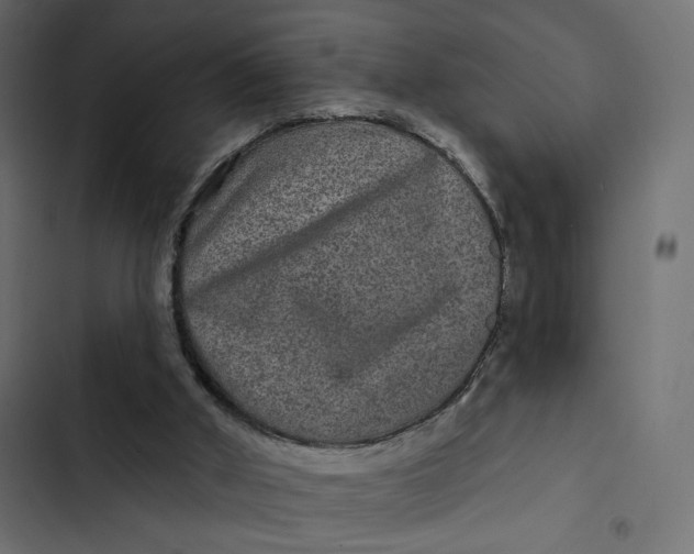 X0000103320010200809261148