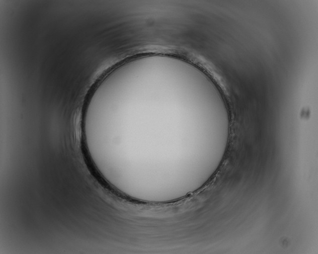 X0000103320011200809261148