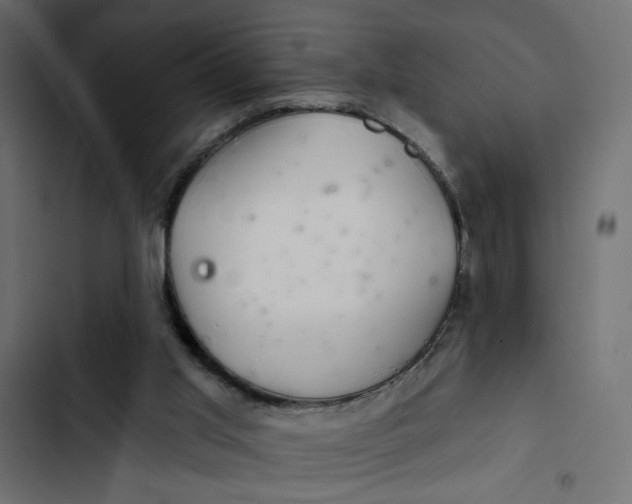 X0000103320013200809261148