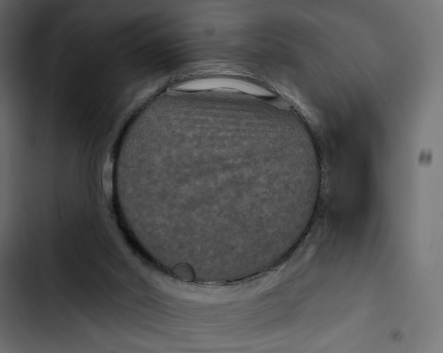 X0000103320014200809261148