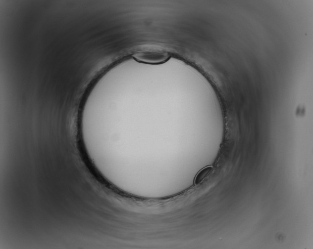 X0000103320015200809261148