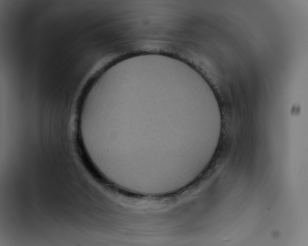 X0000103320016200809261148