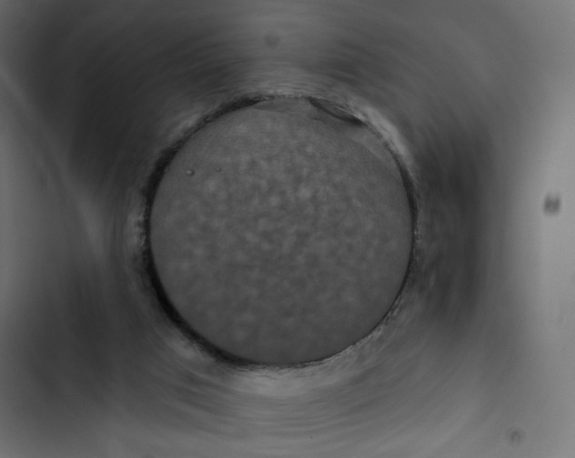 X0000103320017200809261148