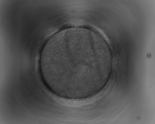 X0000103320018200809261148