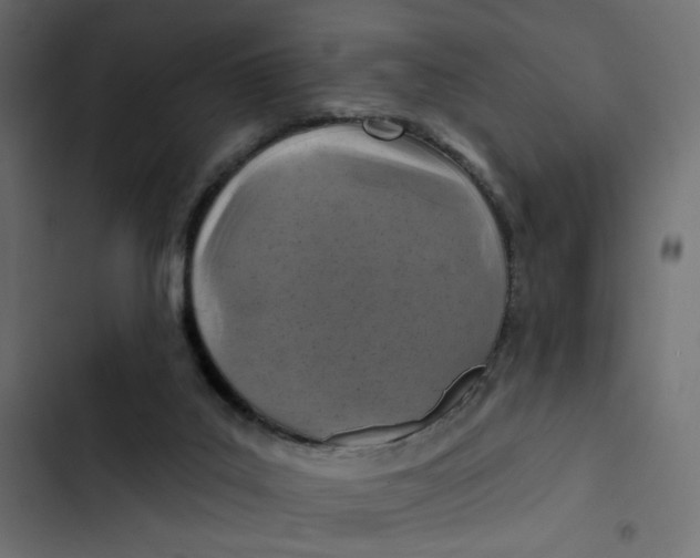 X0000103320019200809261148