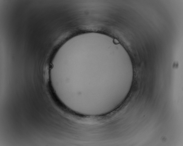 X0000103320020200809261148