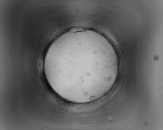 X0000103320021200809261148