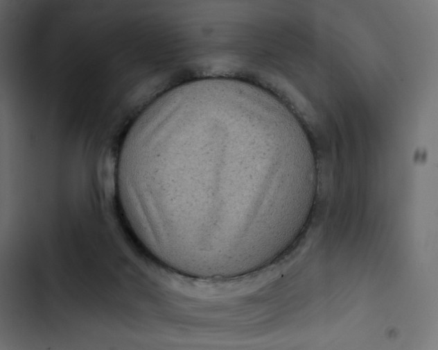 X0000103320022200809261148