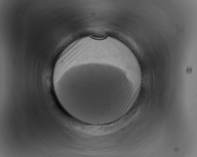 X0000103320023200809261148