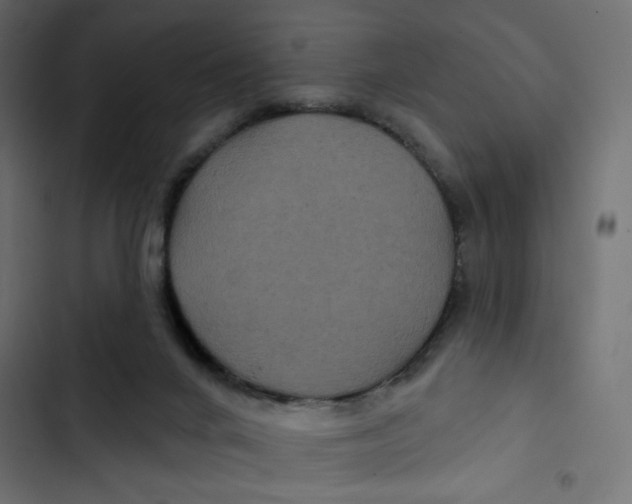 X0000103320024200809261148