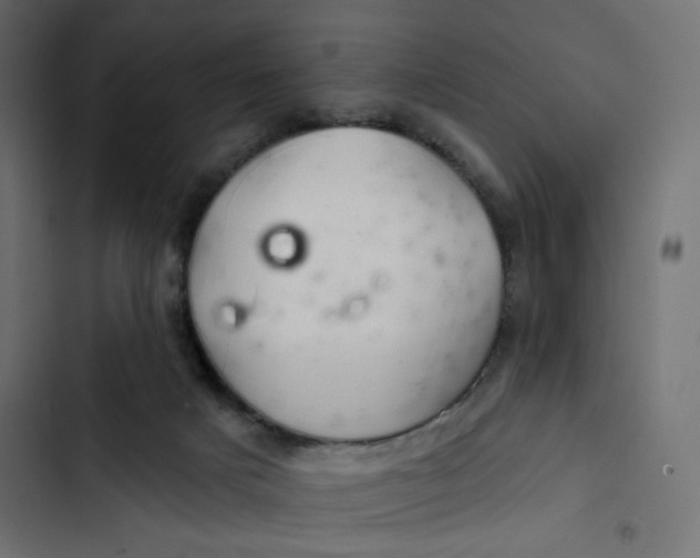 X0000103320025200809261148