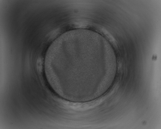 X0000103320026200809261148