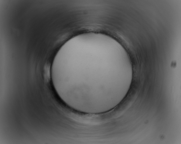 X0000103320028200809261147