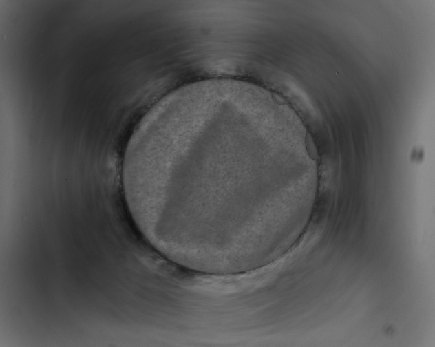 X0000103320029200809261147