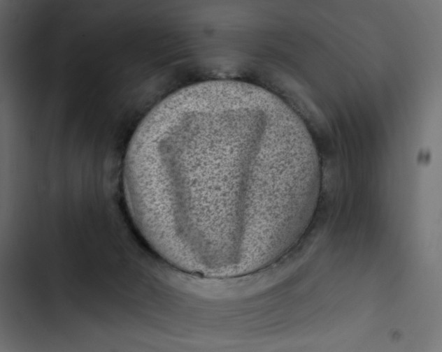 X0000103320030200809261147