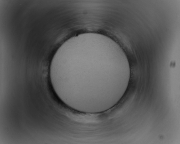 X0000103320032200809261147