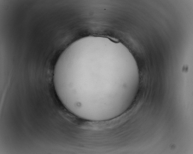 X0000103320033200809261147