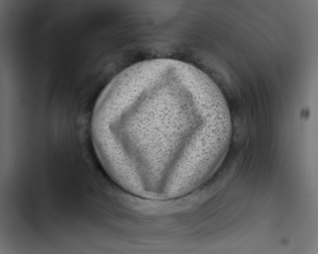 X0000103320034200809261147