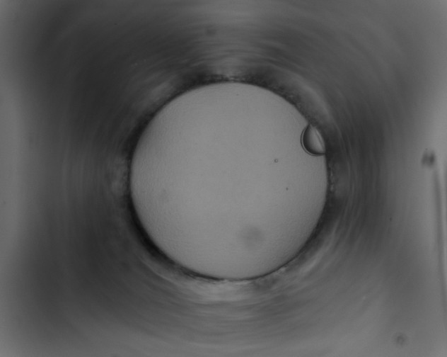 X0000103320036200809261147