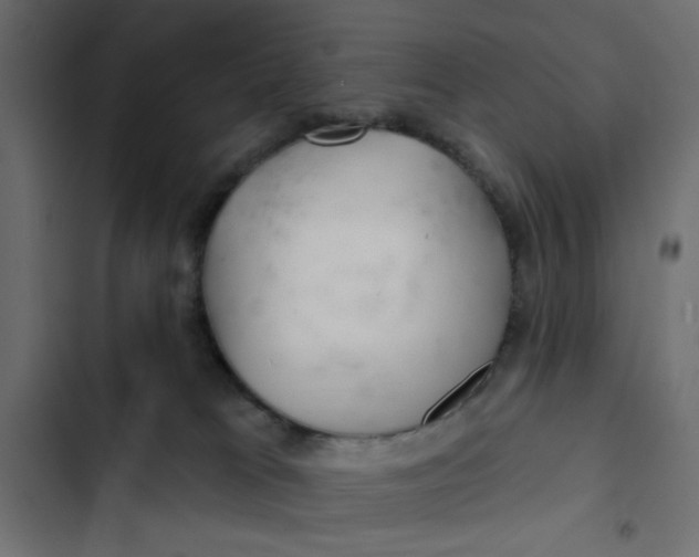 X0000103320037200809261147