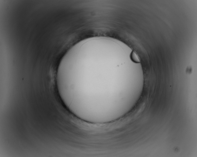 X0000103320038200809261147