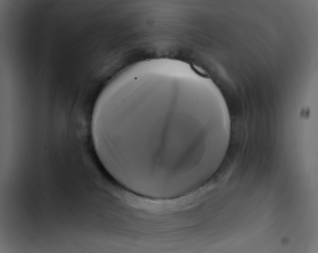 X0000103320039200809261147