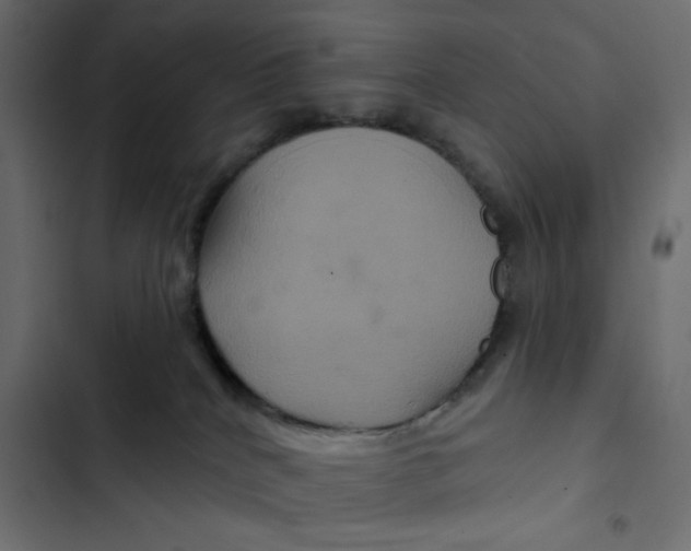 X0000103320040200809261147