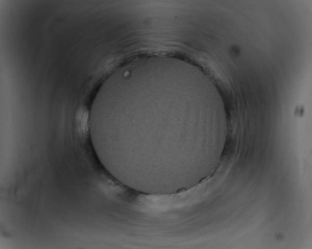 X0000103320041200809261147