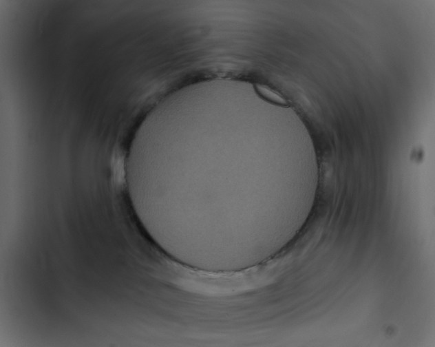 X0000103320042200809261147