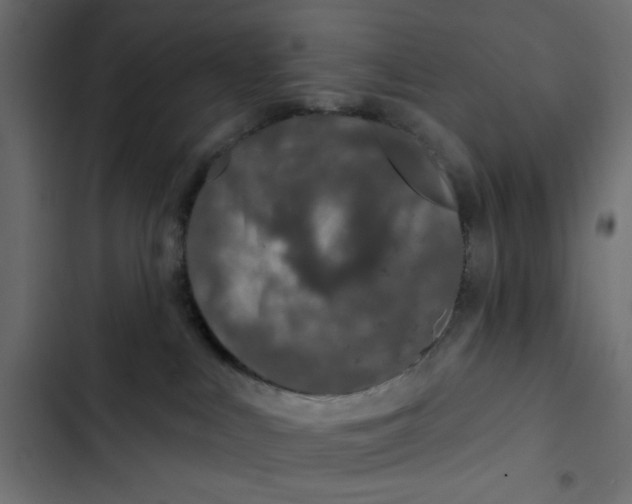 X0000103320043200809261147