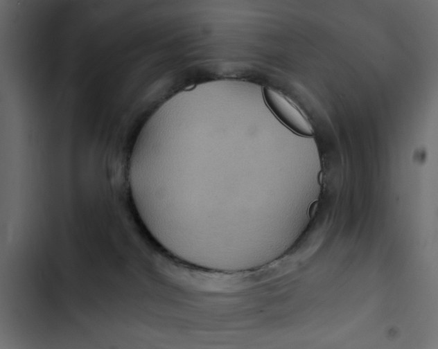 X0000103320044200809261147