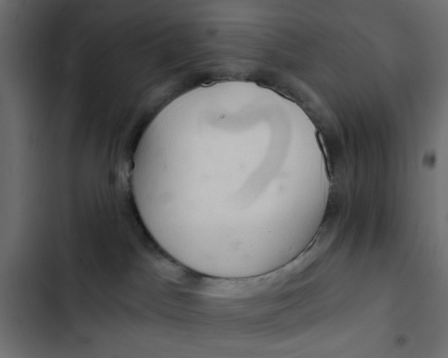 X0000103320045200809261147