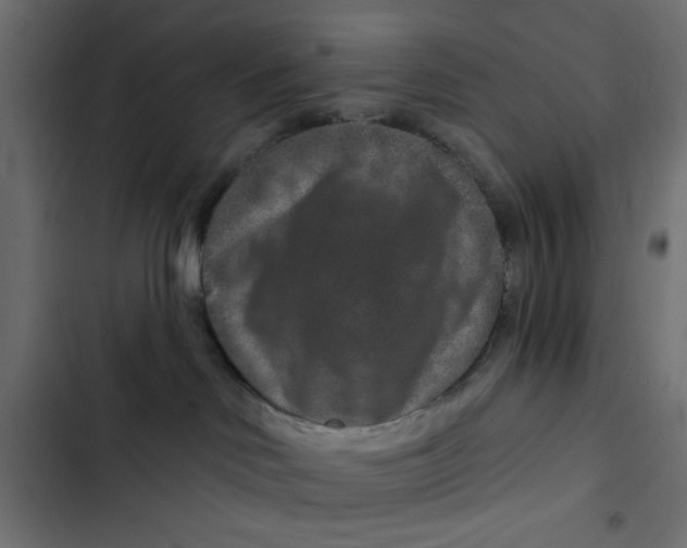 X0000103320046200809261147