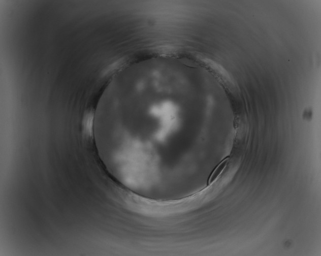 X0000103320047200809261147